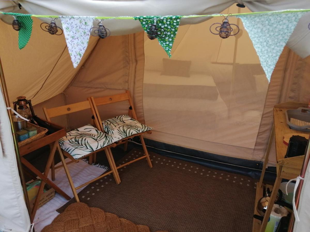 Coed Y Brenin Retreat - Bell Tent Glamping Near Aberaeron Ciliau Aeron Bagian luar foto