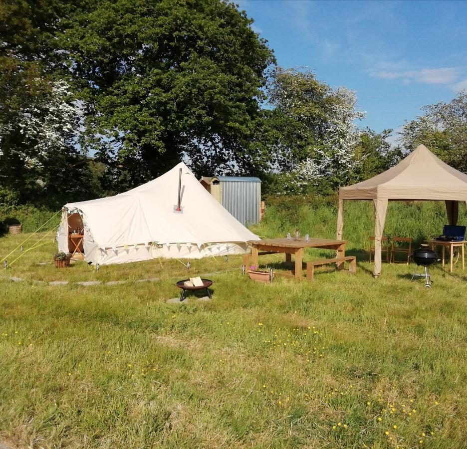 Coed Y Brenin Retreat - Bell Tent Glamping Near Aberaeron Ciliau Aeron Bagian luar foto