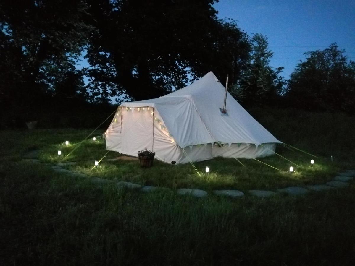 Coed Y Brenin Retreat - Bell Tent Glamping Near Aberaeron Ciliau Aeron Bagian luar foto