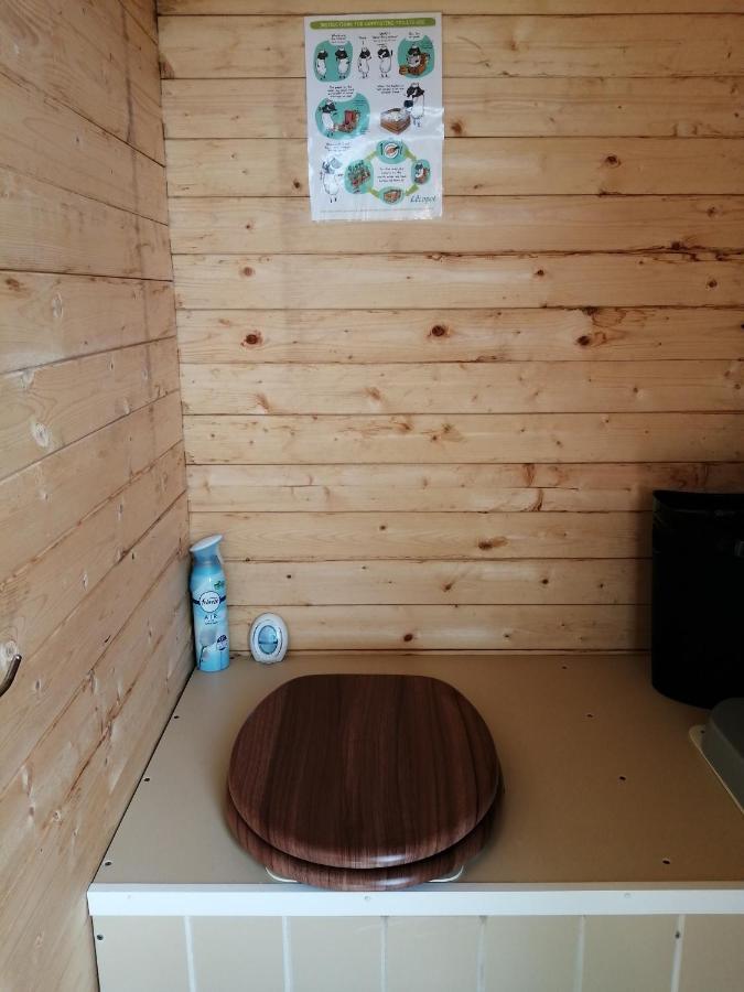 Coed Y Brenin Retreat - Bell Tent Glamping Near Aberaeron Ciliau Aeron Bagian luar foto